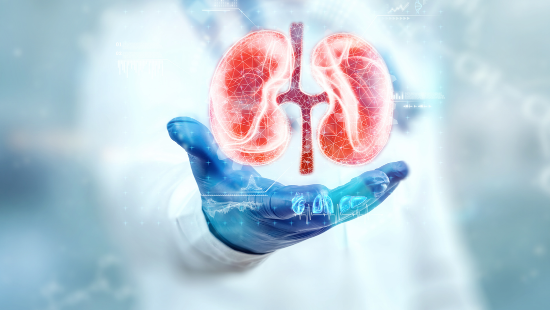 How Kidney Detox Supports Your Body’s Natural Balance